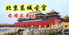 www小逼穴中国北京-东城古宫旅游风景区